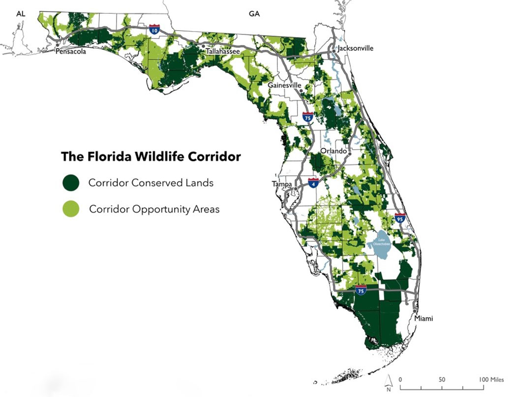 Map of Florida showing in dark green the areas under conservation and in light green the areas slated for conservation under the proposed Florida Wildlife Corridor project