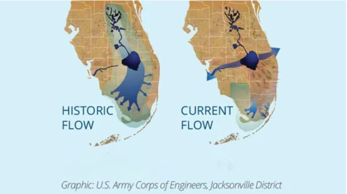 Graphic by the U.S. Army Corps of Engineers of the lower half of the state of Florida, showing how human activity has altered the natural flow of the state's watersheds to flow to the east and west instead of to the south.