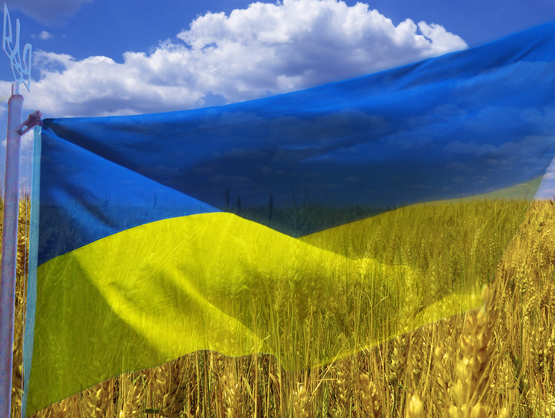 The Ukrainian flag set over a field of yellow wheat below a blue sky.
