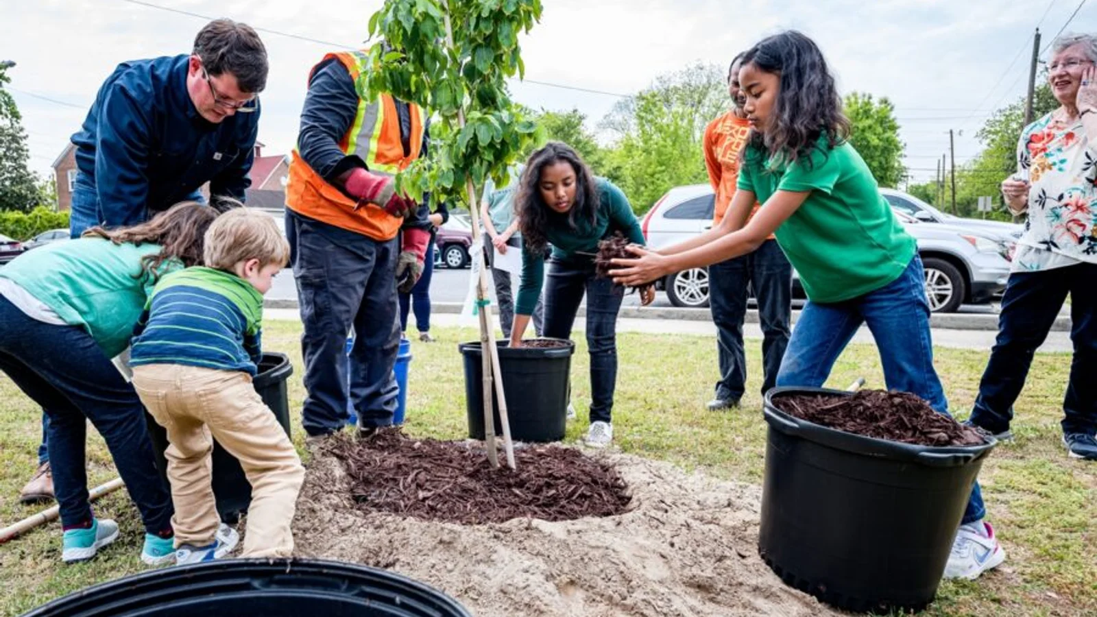 Children and adults work together to plant a tree.