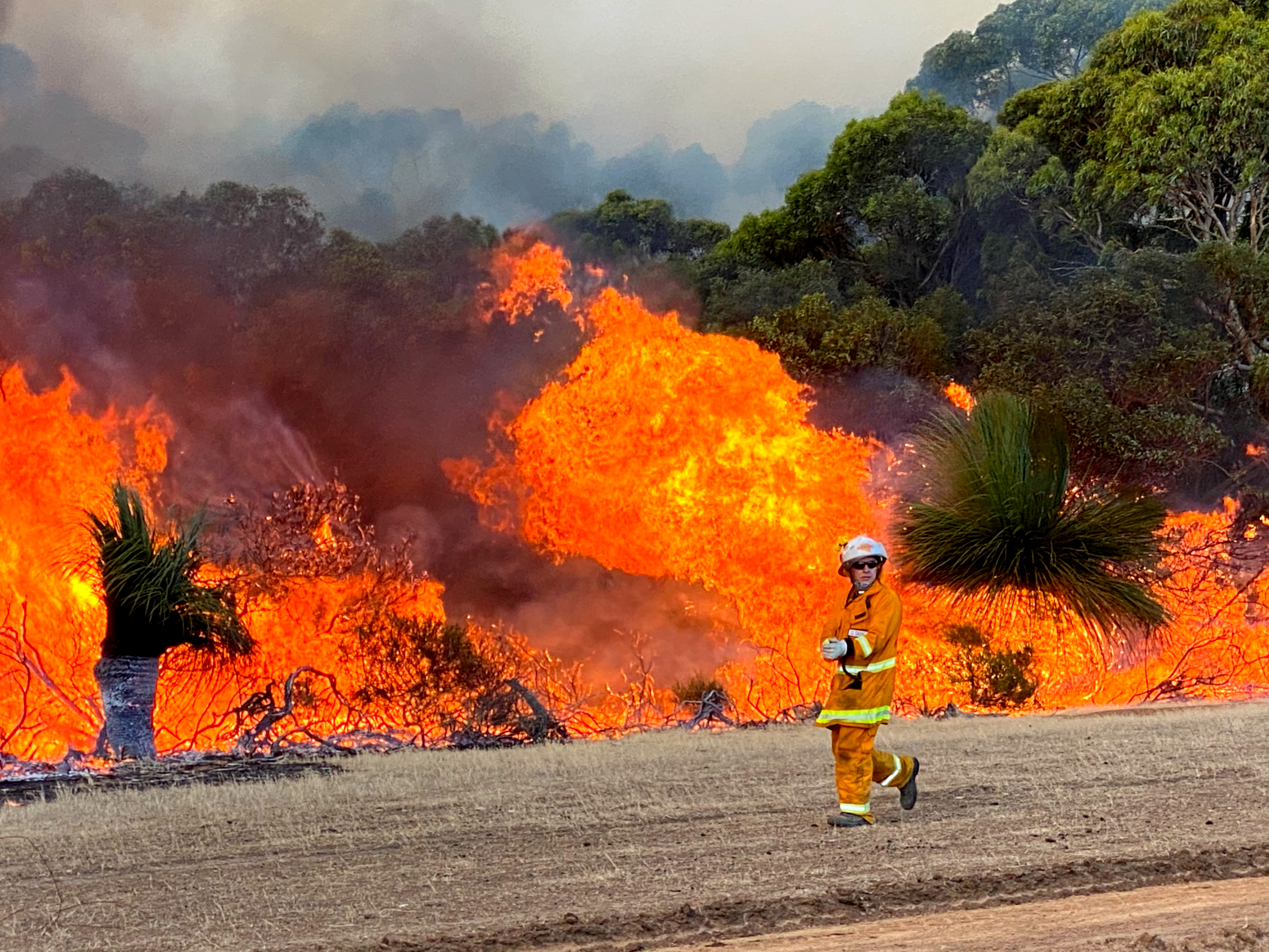 firefighter stands in front of huge, blazing fire that's consuming vegetation, which stretches into the distance