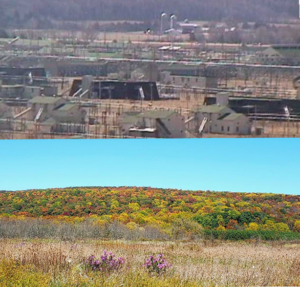 Juxtaposition of two photographs of the Badger Army Ammunition Plant site. The image above shows what looks like a series of barracks in front of a dark green hill. The vegetation is sparse and parched. The image below shows a relatively dry natural landscape speckled with wildflowers and a diversity of plant life. 