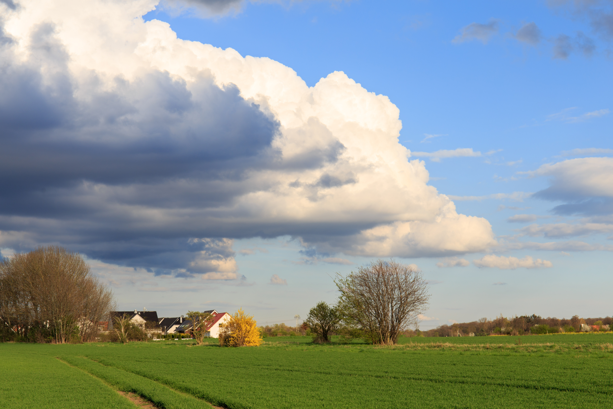 View of field with farm and trees in the background and (non-AI) clouds rolling over it. 