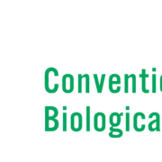 Logo for COP16: Outline of a green leaf next to the text "Convention on Biological Diversity