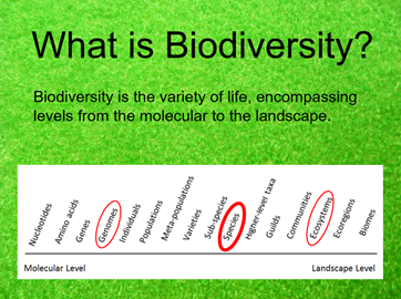 Scale showing different levels of biodiversity, from the molecular to the landscape. Species, genomes, and ecosystems levels circled in red. Embedded caption: "What is Biodiversity?"