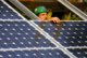 A person wearing a hard hat installs solar panels.