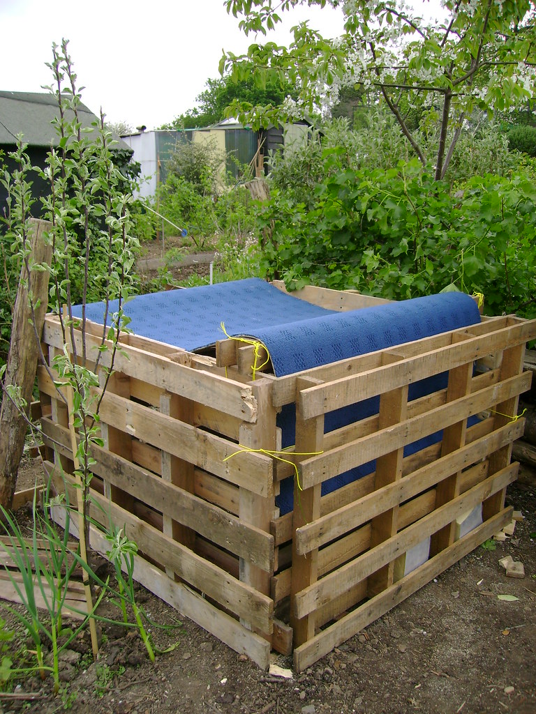 Compost bin in garden.