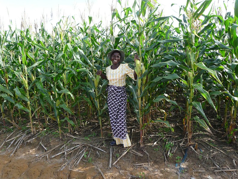 A young, smiling farmer stands in front of a field of tall, healthy looking corn.