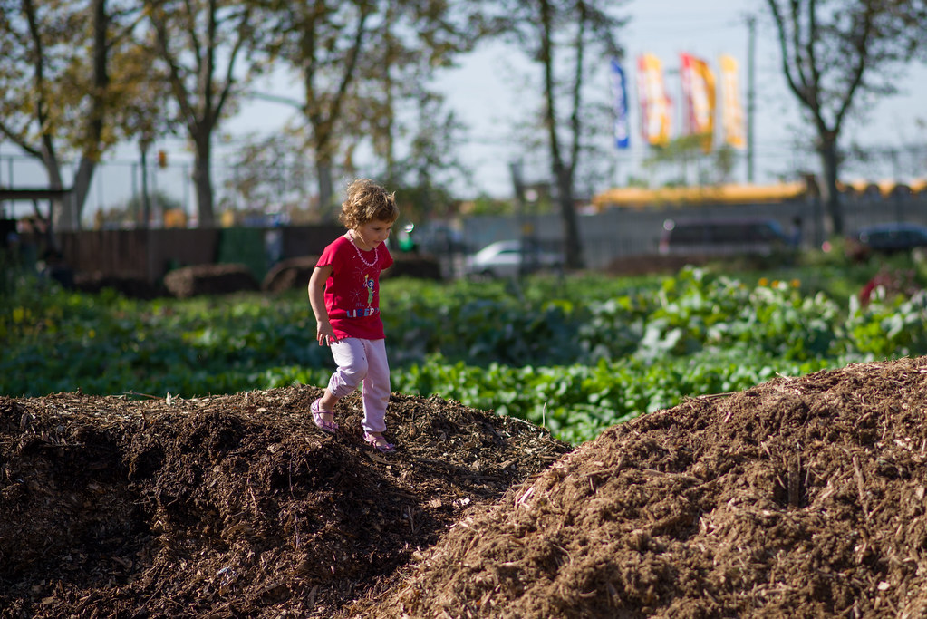 Child playing on mounds of dirt in a field.