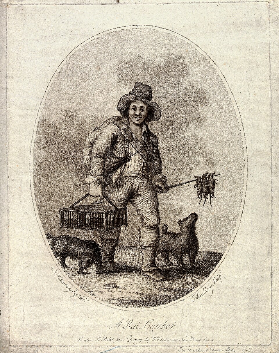 A person carries a cage full of rats in one hand and a skewer with three dead rats in the other, with two terriers at his feet.