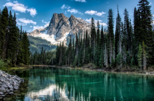 image of a lake in British Columbia, with trees and a mountain in the background