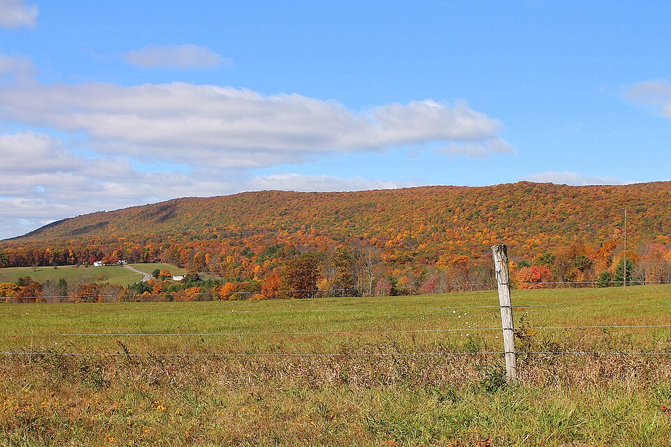 open field with mountain in the distance, covered in trees with multicolored fall leaves