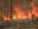 Australian Bush Fire
