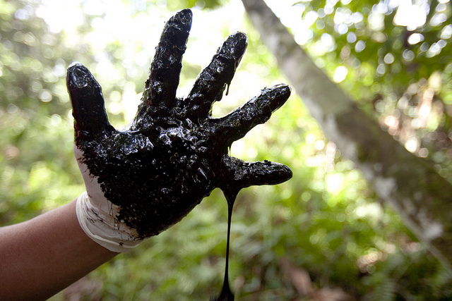 Chevron & Ecuador, Caroline Bennett-Rainforest Action Network