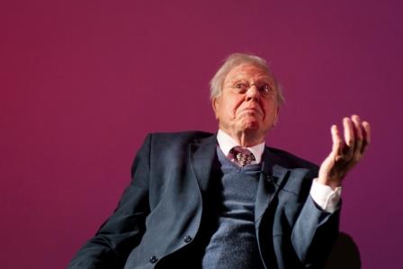 David Attenborough urges mainstream audiences to challenge the status quo.