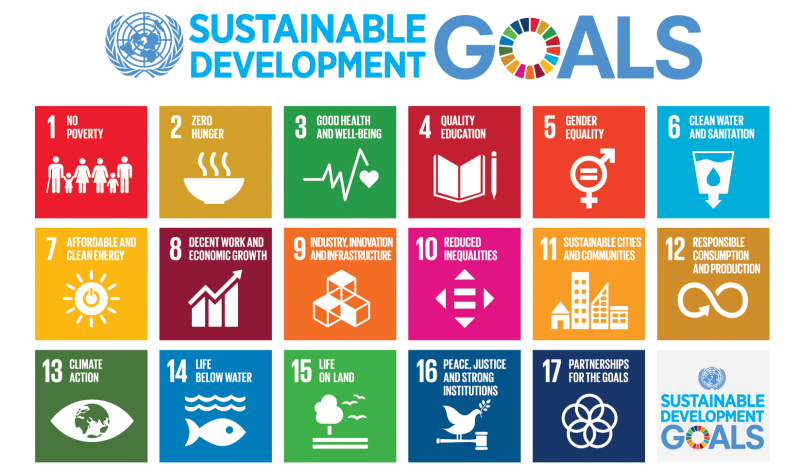 A graphic in which each square represents one of the 17 Sustainable Development Goals.