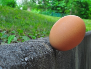 photo of a brown egg about to fall off an old stone wall, with green grass in the background