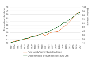 graph of food per farmer per day, and GDP