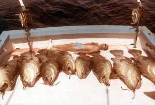 Overfishing during the Age of Extraction (photo taken in 1983) has pushed the goliath grouper to the edge of extinction.