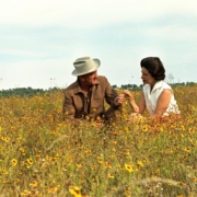 President Johnson and Lady Bird Johnson sit in a field of daisies, their hands touching