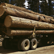 A truck with lumber
