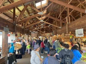 people inside a farmers' market