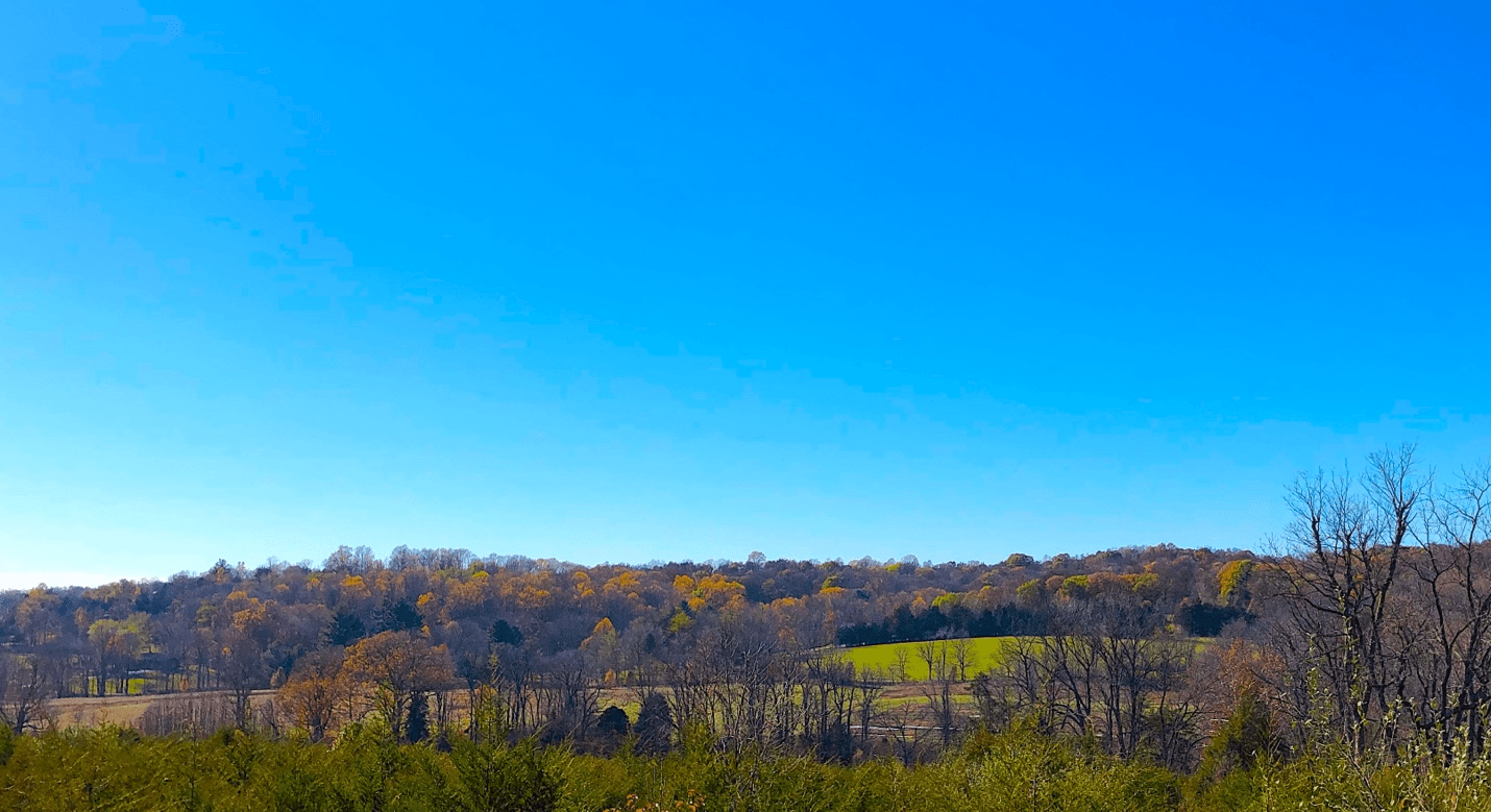 Gently rolling, green hills, mostly covered with trees, below a bright, blue sky.