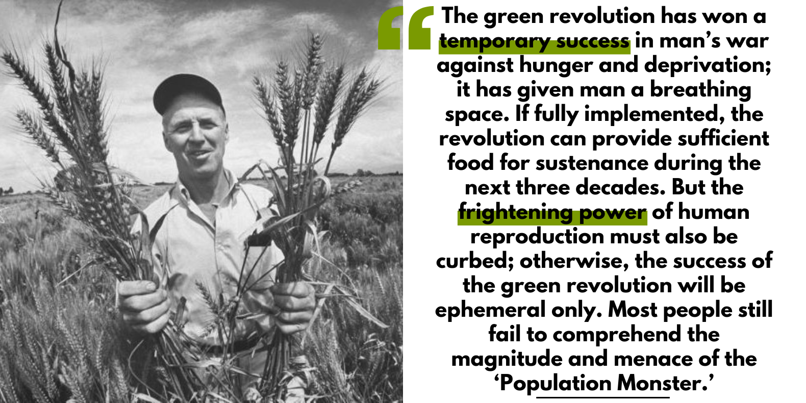 Young Norman Borlaug stands in the middle of a field, holding several wheat stalks in each hand.