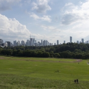 Riverdale_Park_and_Toronto_Skyline,_July_2024 a vast, flat greenspace in the foreground, dotted with people and Toronto's skyline in the background, separated by a barrier of thick forest