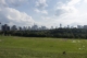 a vast, flat greenspace in the foreground, dotted with people and Toronto's skyline in the background, separated by a barrier of thick forest