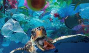 sea turtle swimming and surrounded by garbage