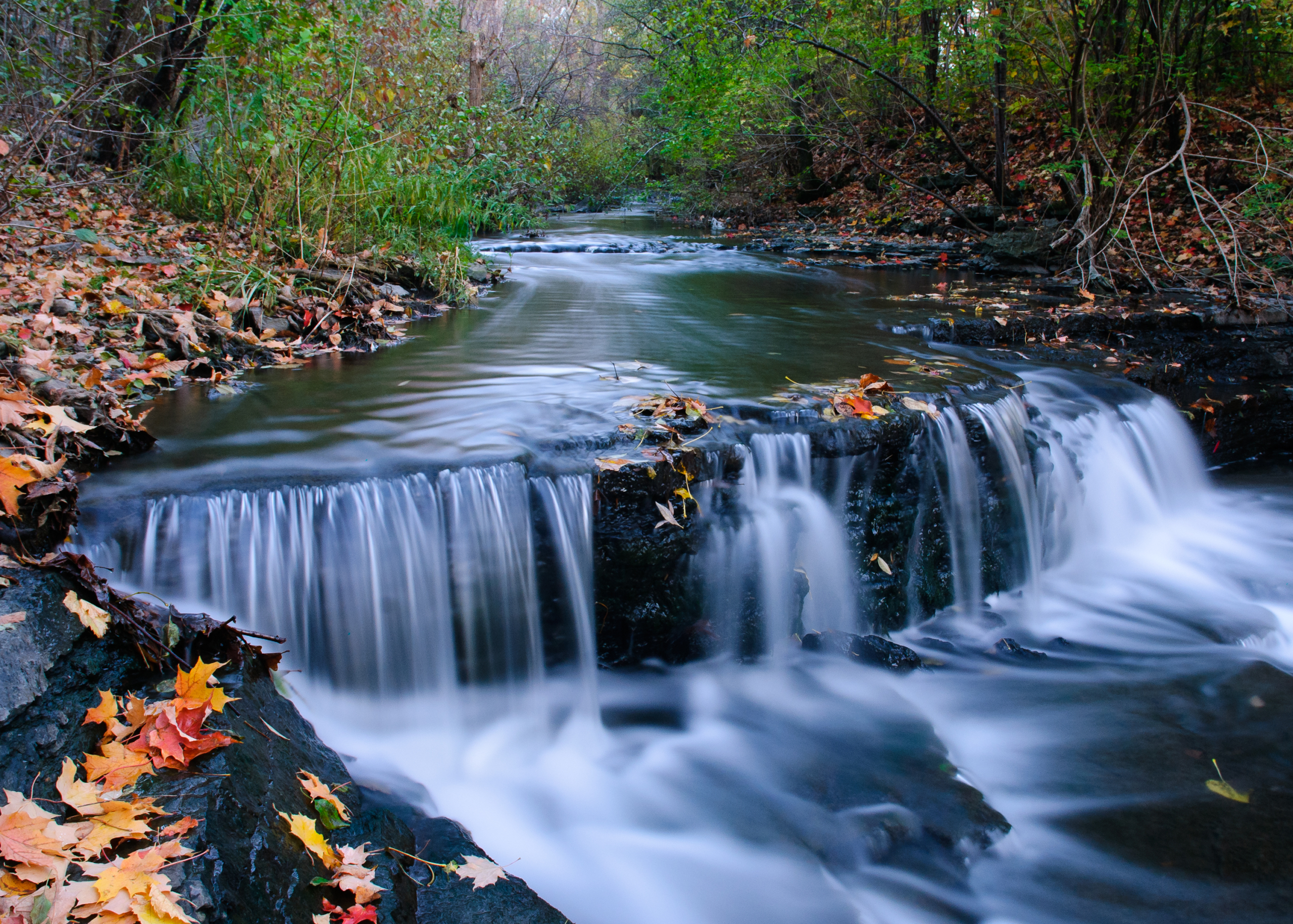 A flowing stream with a short waterfall in the foreground.