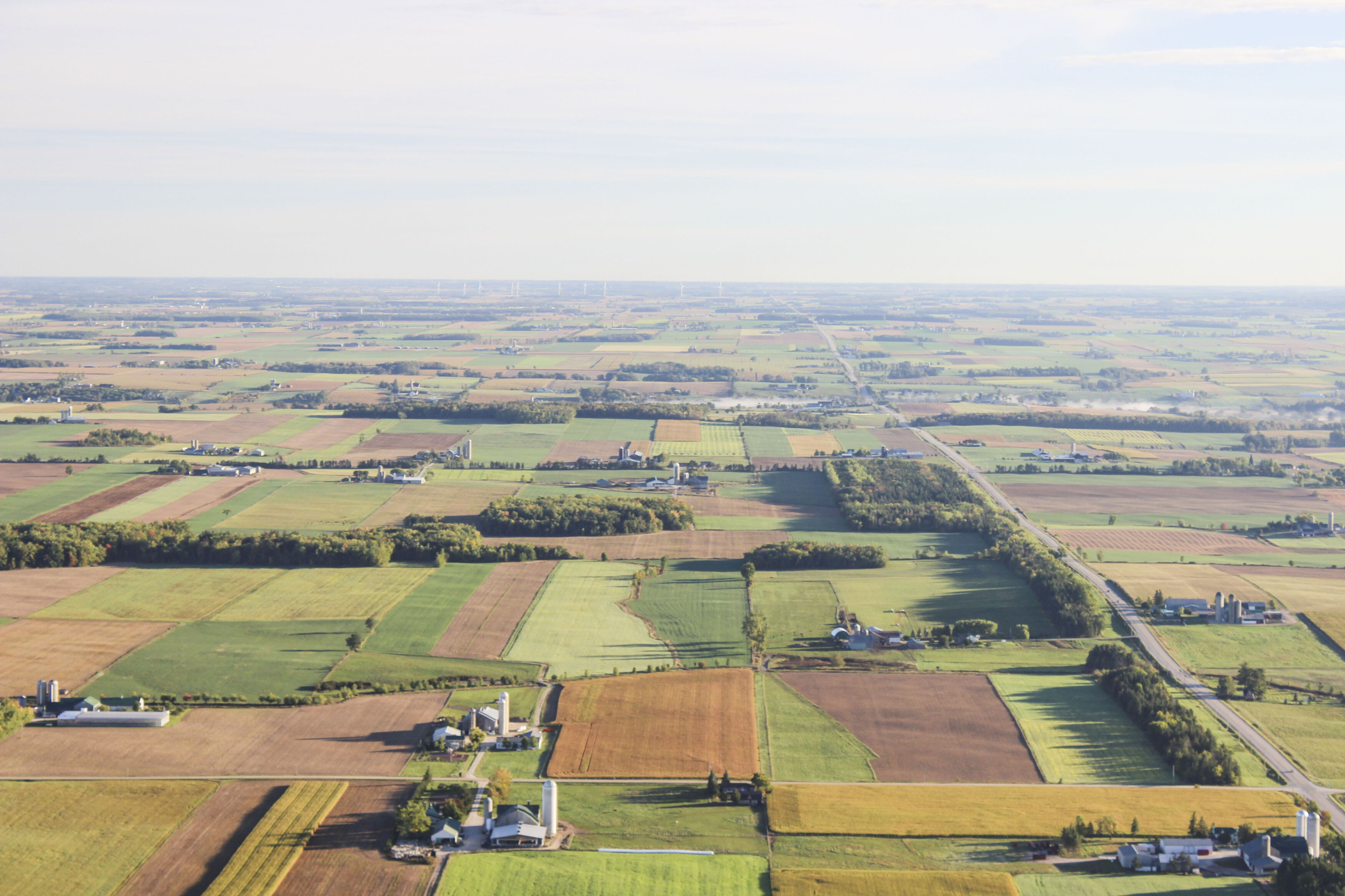 An aerial image of a patchwork of cropland for as far as the eye can see, in varying shades of green and tan.