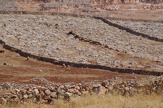 Dry landscape in Syria