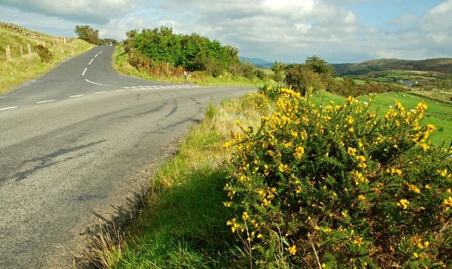 Photograph of two roads diverging, one heading up the hill, one down.