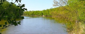 image of the Wabash River, with trees on both banks.