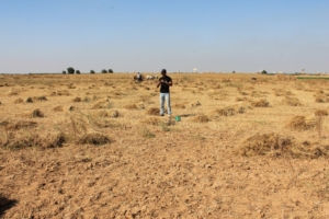 arid landscape with a man standing in the middle of it