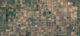 Satellite image of a huge swath of land full of crop circles created from center-pivot irrigation.