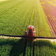 A lone tractor sprays fertilizer in a huge field of row crops.