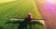A lone tractor sprays fertilizer in a huge field of row crops.