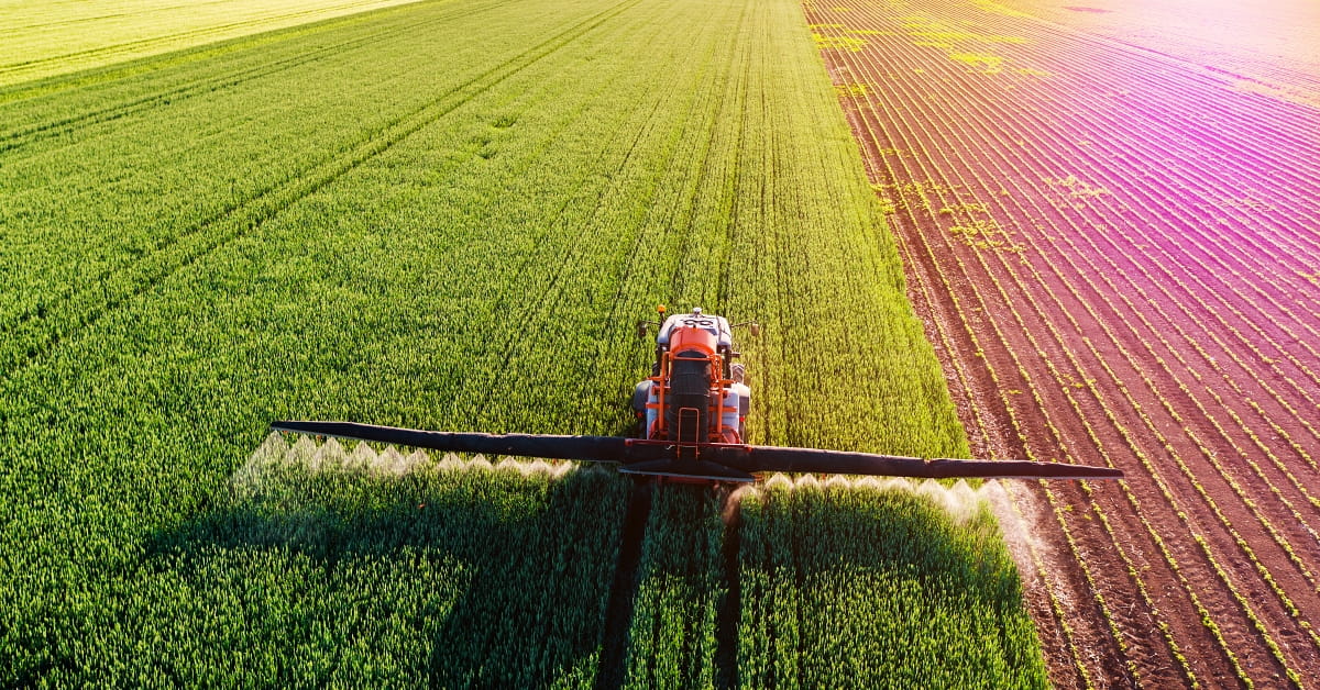 A lone tractor sprays fertilizer in a huge field of row crops.