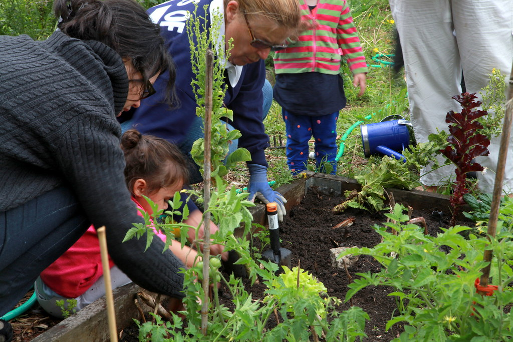 Adults helping a child with gardening at a community garden plot.