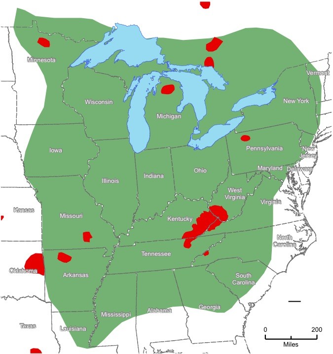 The historic eastern elk area is vast and continuous, while the areas where Rocky Mountain elk have been introduced are small and dispersed.