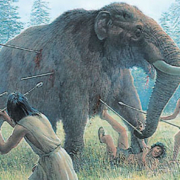 A painting of a mammoth in tall grass with spears in its side and people wearing skins surrounding it with spears.