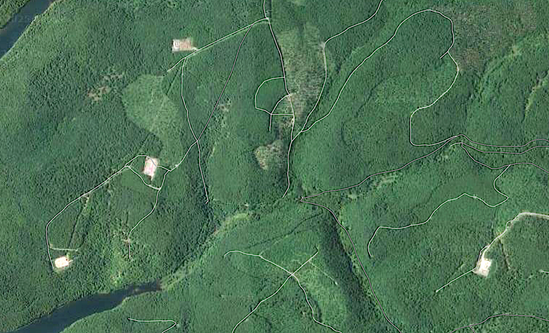 White rectangles connected by lines are visible amongst the forest.