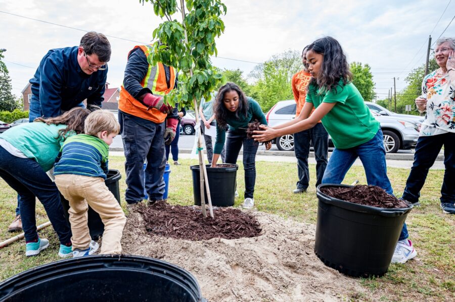 People of all ages work together to plant a tree.