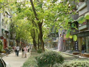 street in CHina dominated by trees and pedestrian walkway