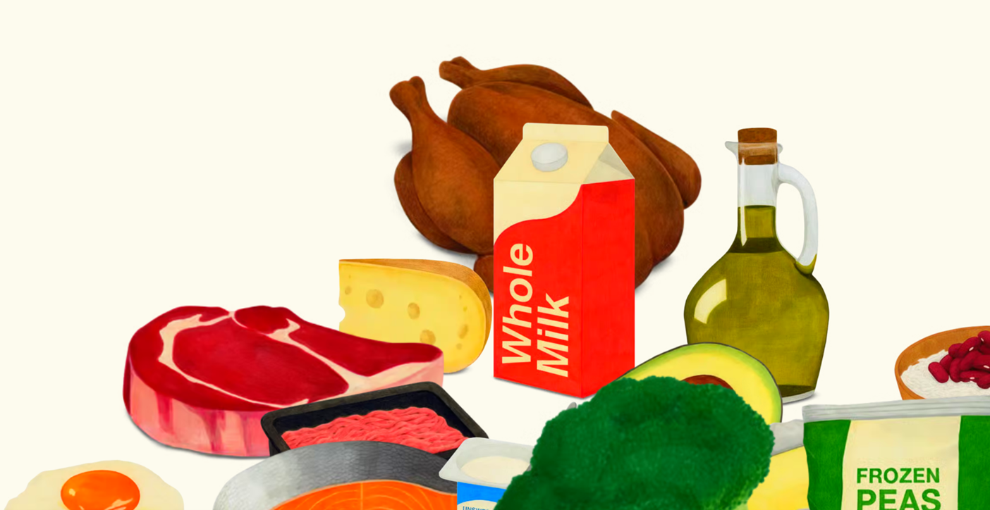 closeup of the graphics of meat and dairy products in the top left corner of the pyramid