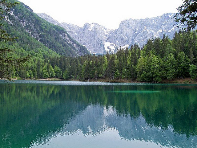 We must pay attention to the optimal scale of the human economy to protect the ecosystem we depend on. Photo Credit: Elisa Bracco