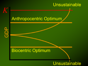 graph showing options for GDP: to slope upward toward an anthropocentric Optimum, which is unstainable, or downward toward a biocentric optimum